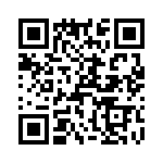 T38361-17-0 QRCode