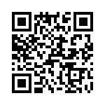T38361-20-0 QRCode