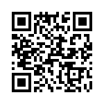 T38361-26-0 QRCode