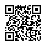 T38363-17-0 QRCode