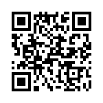 T38363-22-0 QRCode