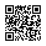 T38365-09-0 QRCode