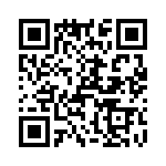 T38365-13-0 QRCode