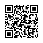 T38367-02-0 QRCode