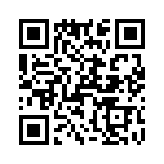 T38367-16-0 QRCode