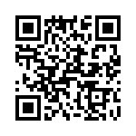 T38368-01-0 QRCode