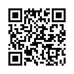 T38368-09-0 QRCode