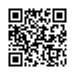 T38410-04-0 QRCode