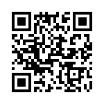 T38410-09-0 QRCode