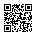 T38410-15-0 QRCode