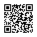 T38410-20-0 QRCode