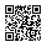 T38411-02-0 QRCode