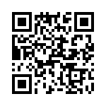 T38411-05-0 QRCode