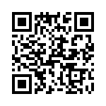 T38411-13-0 QRCode