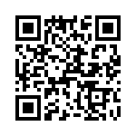 T38411-22-0 QRCode