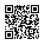 T38411-25-0 QRCode