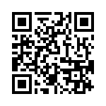 T38412-03-0 QRCode