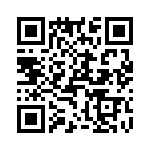 T38412-10-0 QRCode