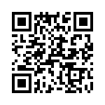 T38413-11-0 QRCode