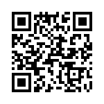 T38413-22-0 QRCode
