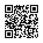 T38415-16-0 QRCode