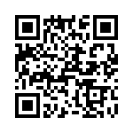 T38417-21-0 QRCode