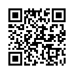 T38420-16-0 QRCode