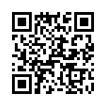 T38420-17-0 QRCode