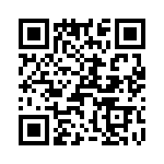 T38420-22-0 QRCode