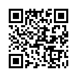 T38421-07-0 QRCode