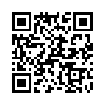 T38421-17-0 QRCode