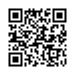 T38421-26-0 QRCode