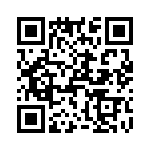 T38423-03-0 QRCode