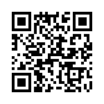 T38423-16-0 QRCode