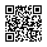 T38423-17-0 QRCode