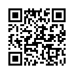 T38425-13-0 QRCode