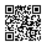 T38425-21-0 QRCode