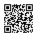 T38427-13-0 QRCode