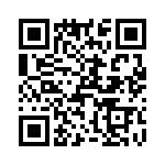 T38427-22-0 QRCode