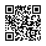 T38427-23-0 QRCode