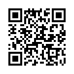 T38428-10-0 QRCode