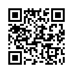 T38428-13-0 QRCode