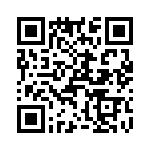 T38430-02-0 QRCode