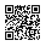 T38430-04-0 QRCode