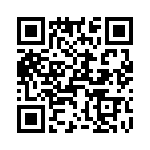 T38430-06-0 QRCode