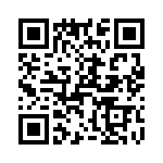 T38430-13-0 QRCode