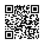 T38430-22-0 QRCode