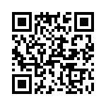 T38431-17-0 QRCode