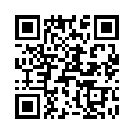 T38431-20-0 QRCode
