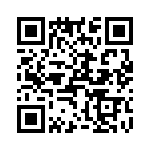 T38432-23-0 QRCode